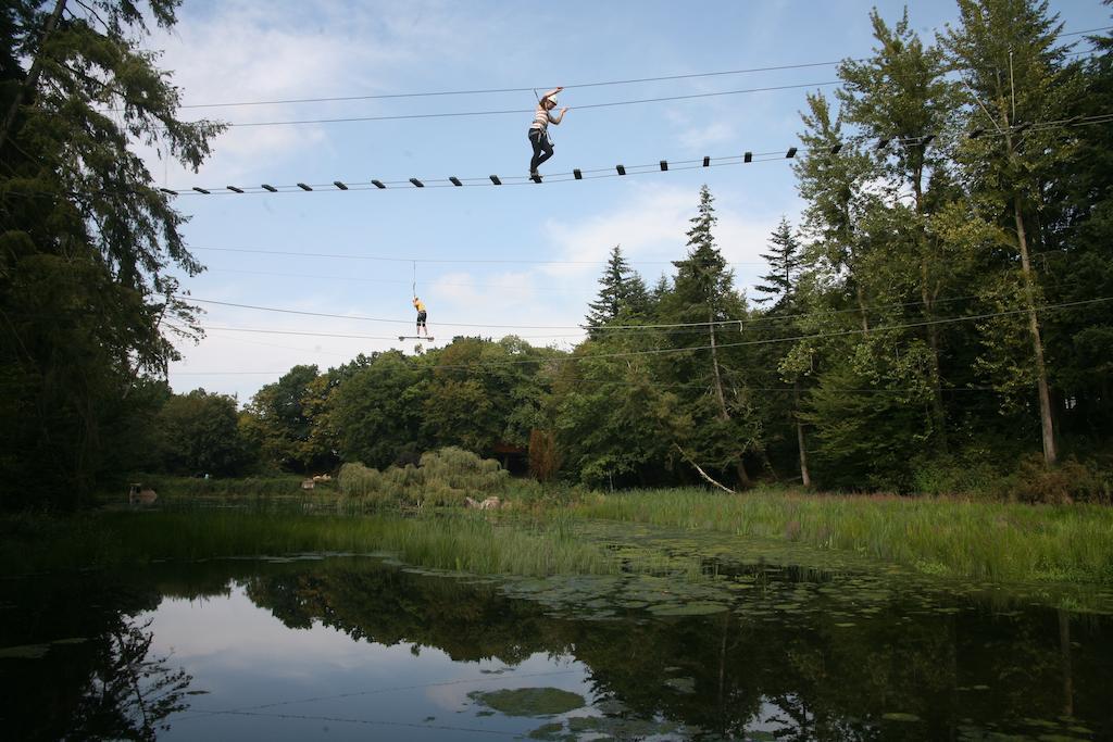 Insolite Dans Les Arbres Les Ormes, Epiniac Bed and Breakfast Εξωτερικό φωτογραφία