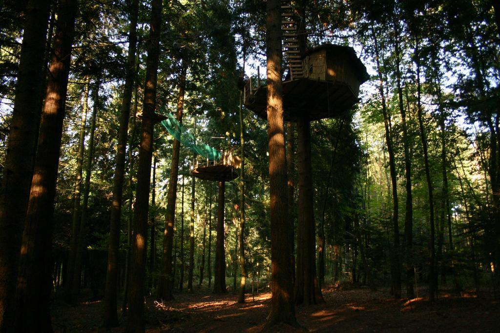 Insolite Dans Les Arbres Les Ormes, Epiniac Bed and Breakfast Εξωτερικό φωτογραφία