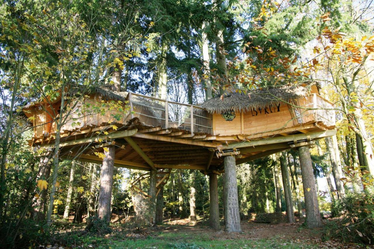 Insolite Dans Les Arbres Les Ormes, Epiniac Bed and Breakfast Εξωτερικό φωτογραφία