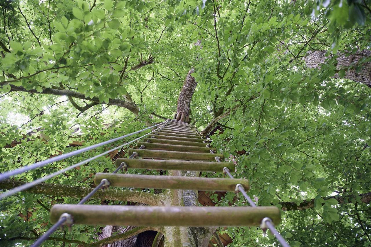 Insolite Dans Les Arbres Les Ormes, Epiniac Bed and Breakfast Εξωτερικό φωτογραφία