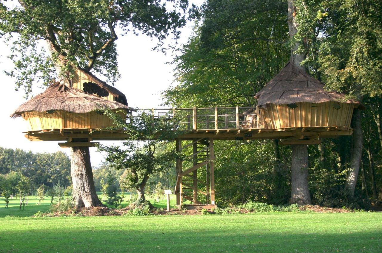 Insolite Dans Les Arbres Les Ormes, Epiniac Bed and Breakfast Εξωτερικό φωτογραφία