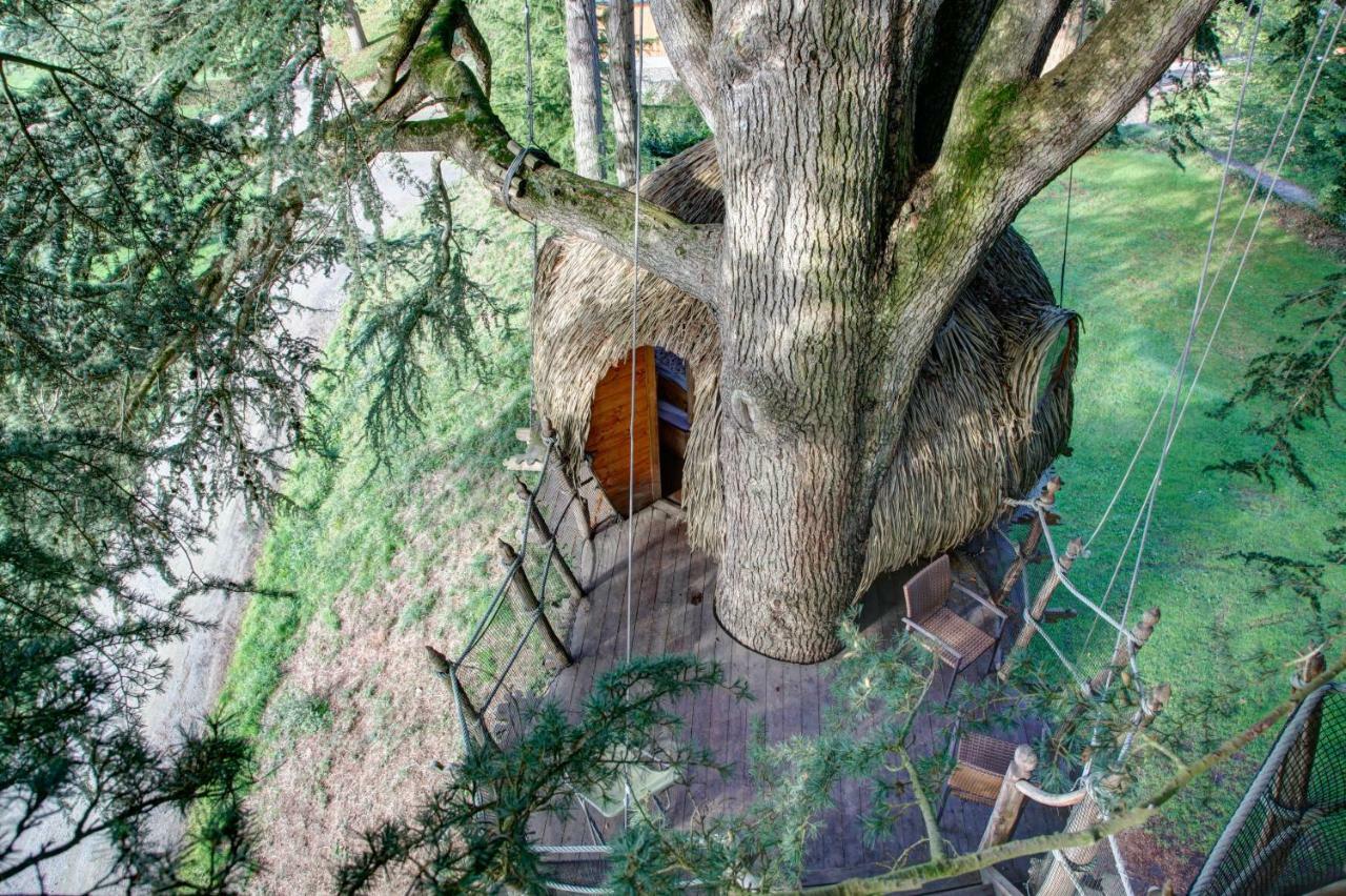 Insolite Dans Les Arbres Les Ormes, Epiniac Bed and Breakfast Εξωτερικό φωτογραφία